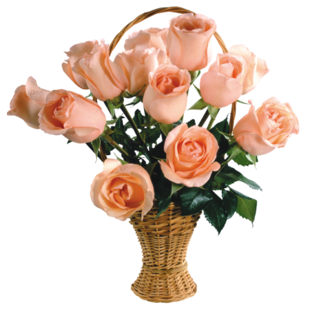 Eco Friendly - 12 Stems In Basket